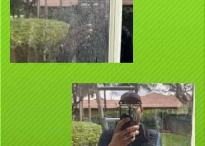 Detailed Window Cleaning Services