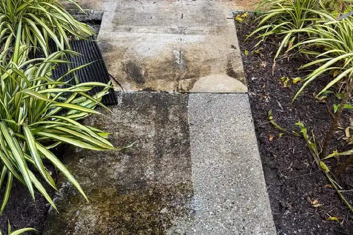 Pressure Cleaning Services