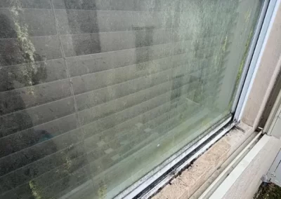 Trusted Window Cleaning Services
